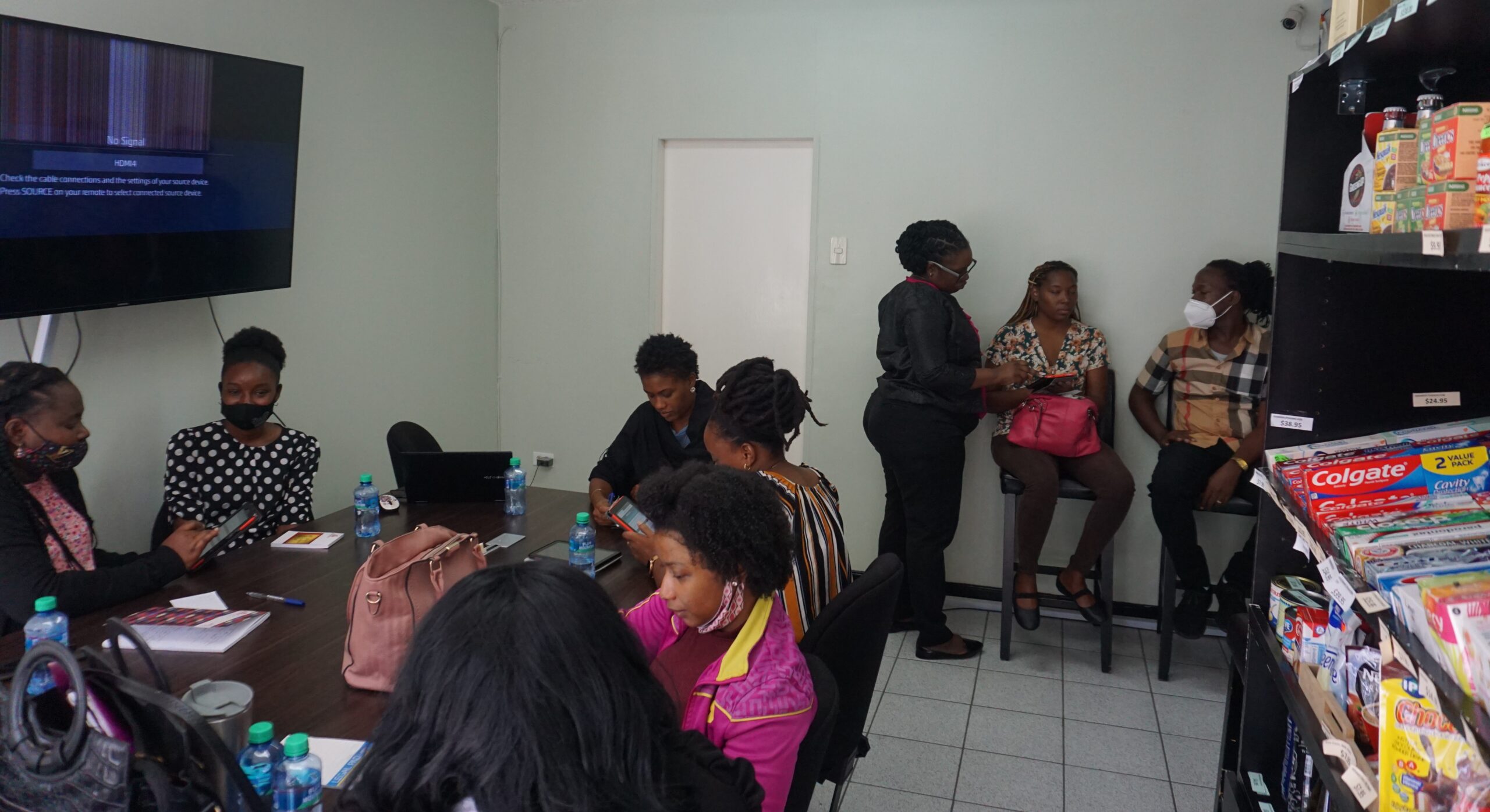 Retail Audit, Field Team Training